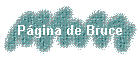Pgina de Bruce